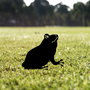 Aberto Design Frog 01 Negro